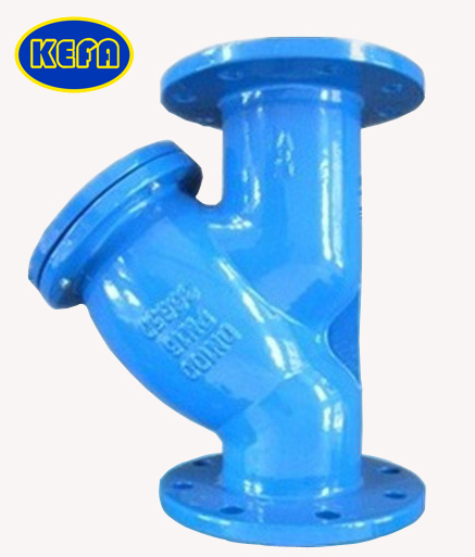 Y Strainer