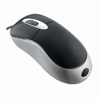mouse