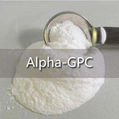α-GPC, alpha-GPC, GPC 50% 99% 85%liquid