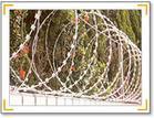 Barbed Iron Wire