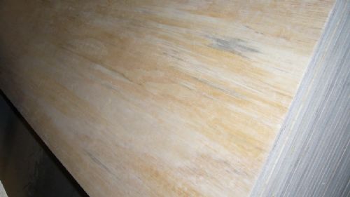 1220*2440mm CDX plywood
