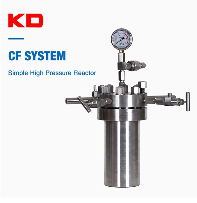 Small High Pressure Reactor