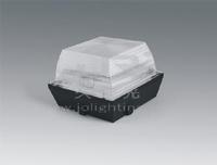 Ceiling Light (0501)