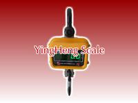 electronic crane scale