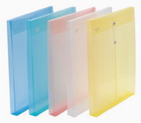 Envelope File