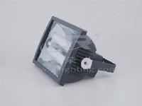 Flood Light (0403)