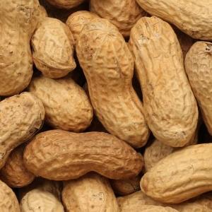 In Shell Peanuts