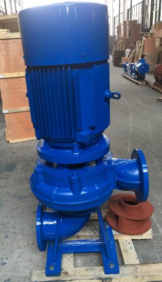 LW Vertical sewage pump