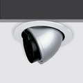 Metal halide light