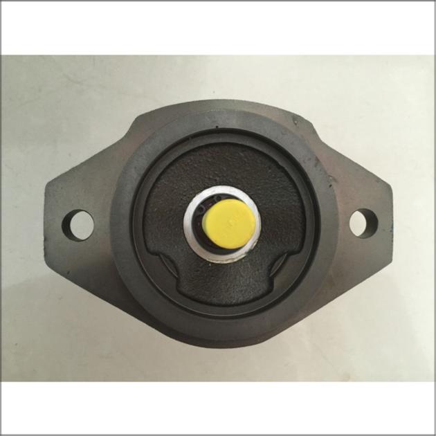 Rexroth Internal Gear Pump R900086159 PGF1