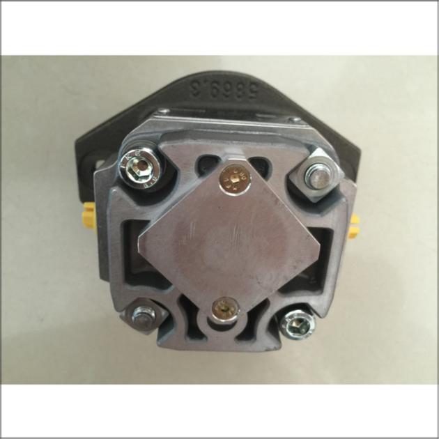 Rexroth Internal Gear Pump R900086159 PGF1