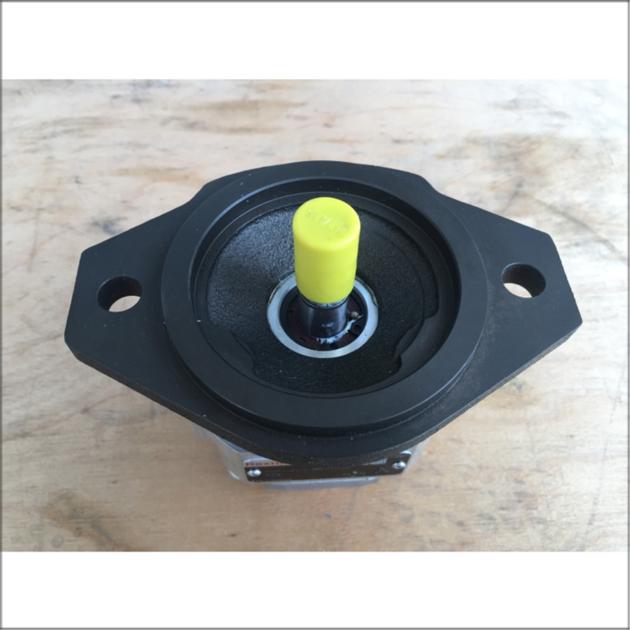 Rexroth Internal Gear Pump R900086163 PGF1