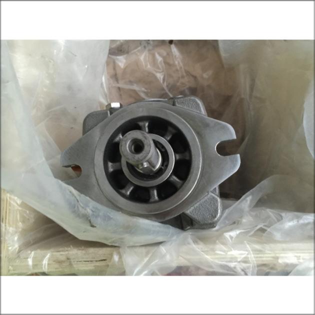 Rexroth Internal Gear Pump PGH4 30