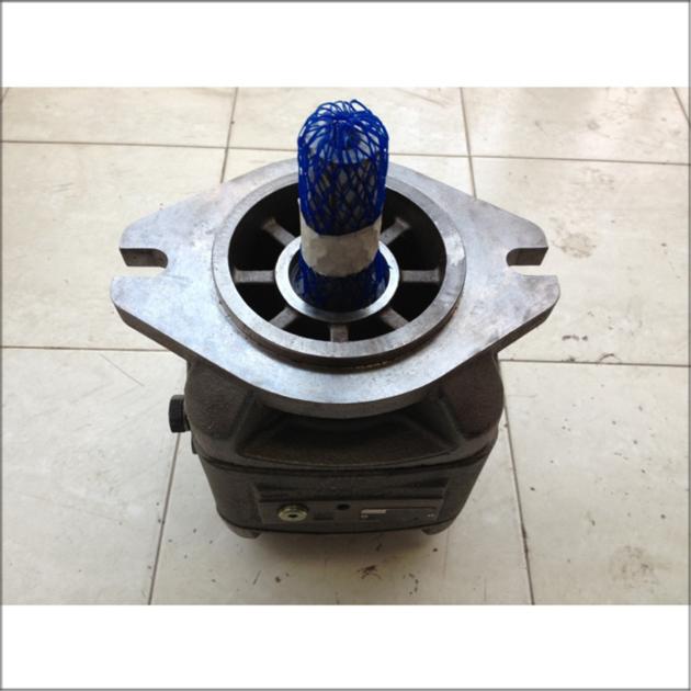 Rexroth Internal Gear Pump R901147118 PGH5