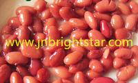 canned pinto bean