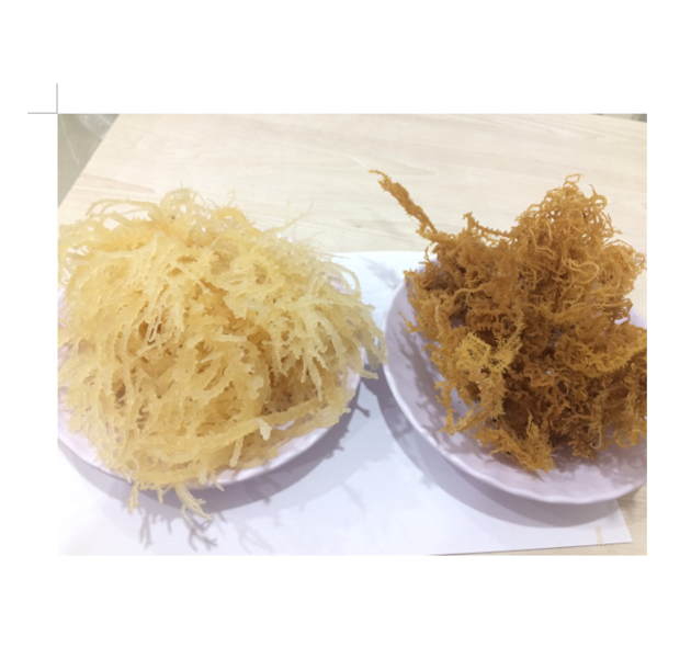 Natural Dried Sea Moss