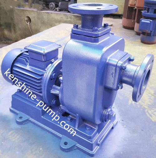 ZWL Self Priming Sewage Wastewater Pump