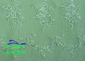 Chiffon Embroidery Fabrics