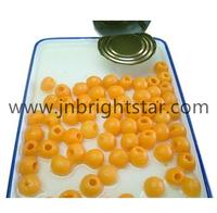 Canned Loquat