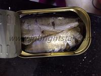 canned sardine in vegetable oil