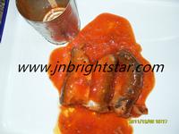 canned pilchard in tomato sauce
