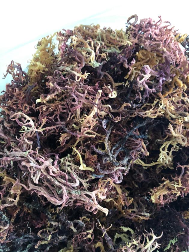 Natural Dried Sea Moss