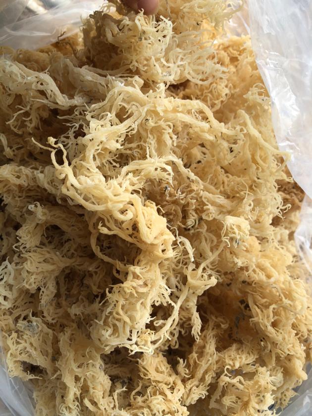 Natural Dried Sea Moss