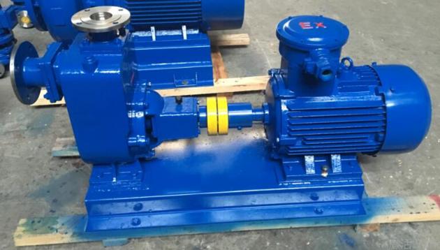 ZX Self Priming Centrifugal Pump Clean