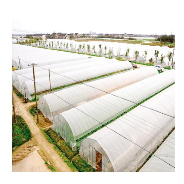 5 Years UV Stability Greenhouse Film