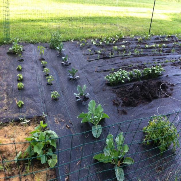 Weed Mat Landscape Fabric