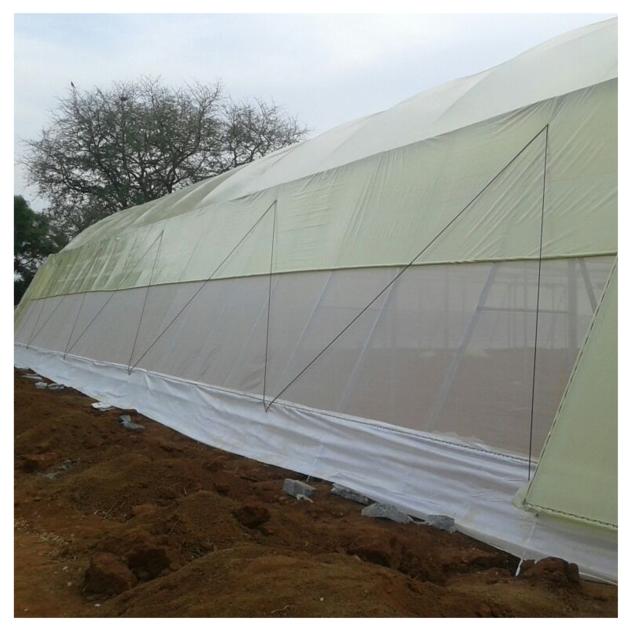 5 Years UV Stability Greenhouse Film