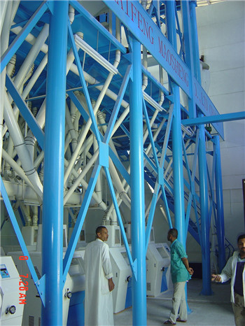  50t/d -150t/d good design high quality complete wheat flour milling plant for wheat processing in C