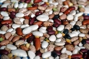 Kidney Beans