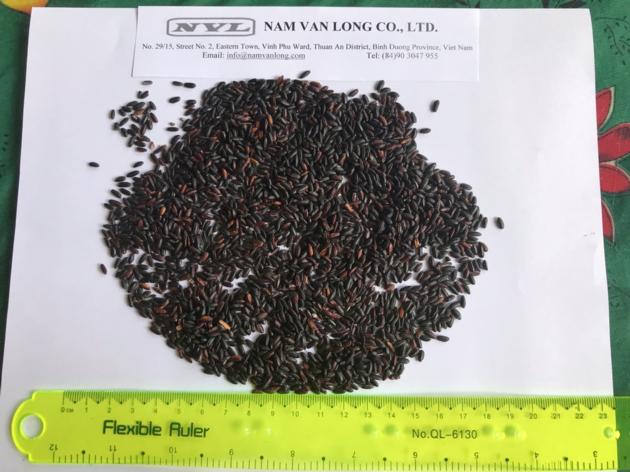 VIETNAM BLACK RICE  