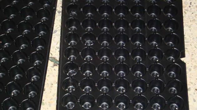 seedling tray