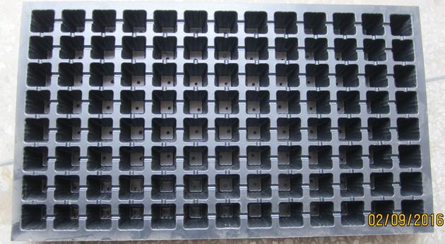 seedling tray