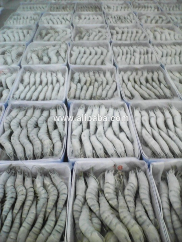 Frozen Black Tiger Shrimp 