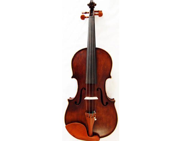 Beginner Violin