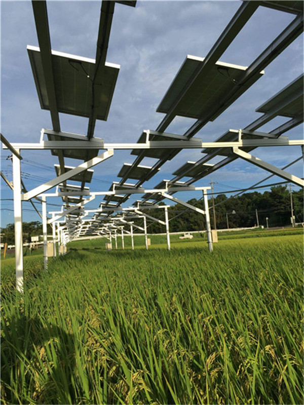 solar agriculture mounting bracket solar farm system