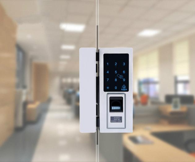 Intelligent Fingerprint Password Card Glass Door Lock