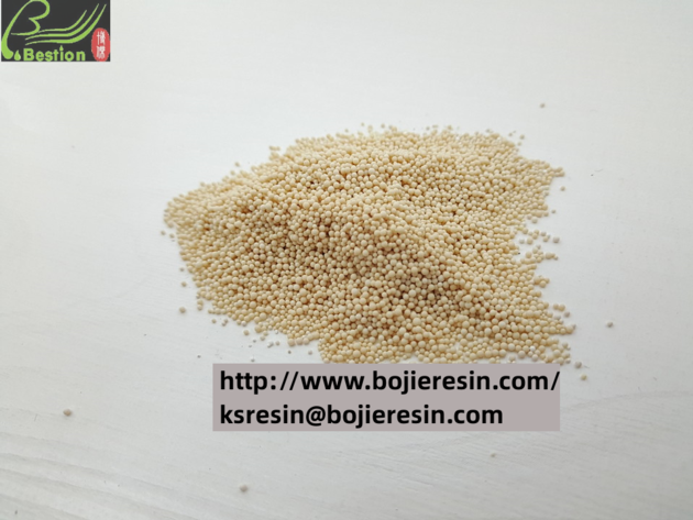 Strong Basic Anion Exchange Resin