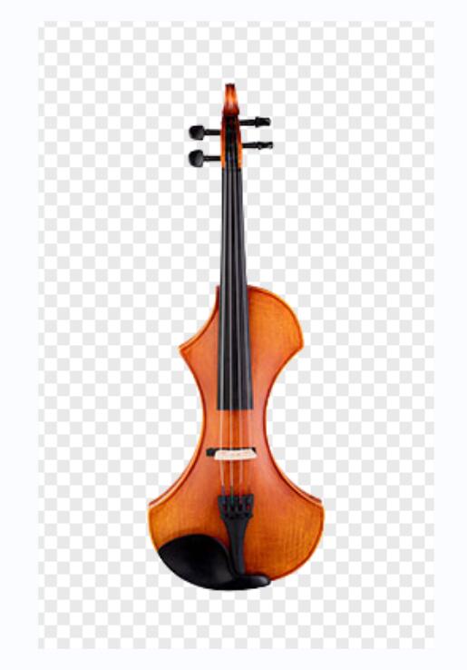 Electric Violin