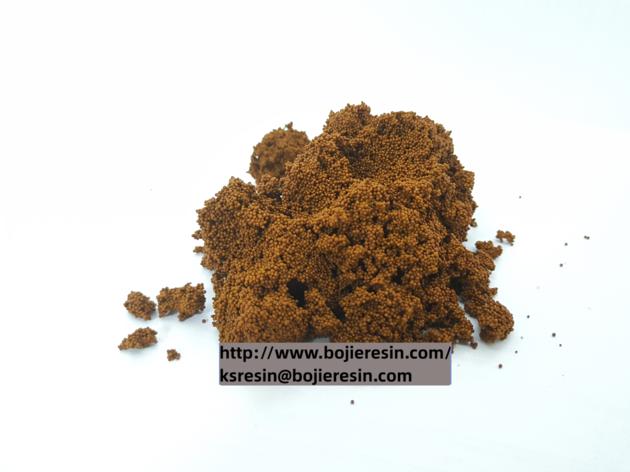Strong Basic Anion Exchange Resin   
