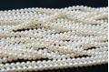 freshwater Pearl