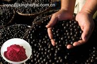 Acai Berry Extract CAS:879496-95-4 
