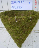hanging basket