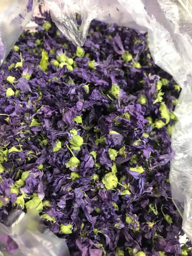 Gum Resin Flower