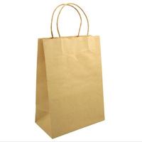 2013 Newest Design kraft paper bags wholesale 
