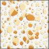 Polished Floor Tile