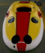 Kayak